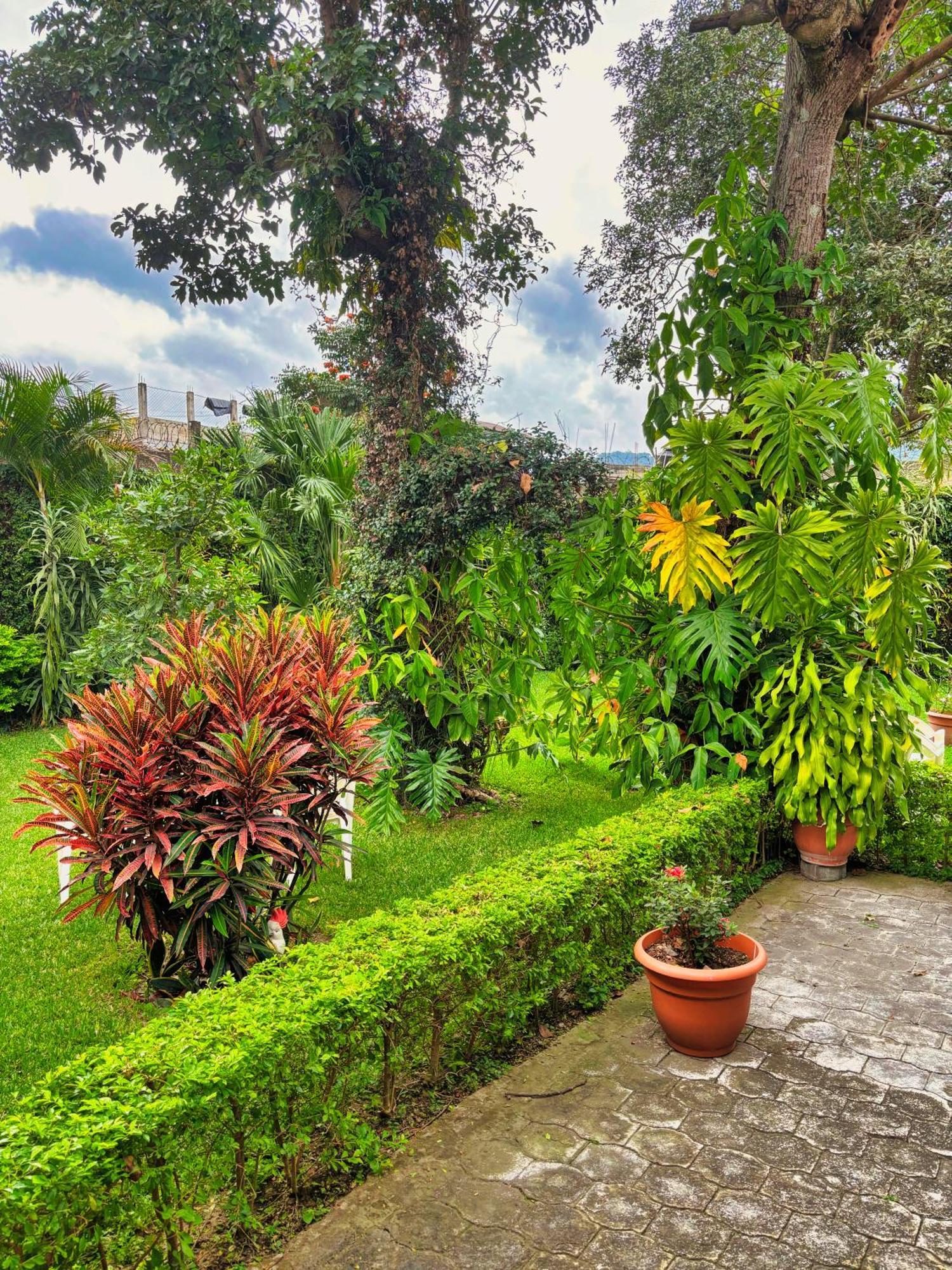 Alana Hotel By Ish Antigua Bagian luar foto