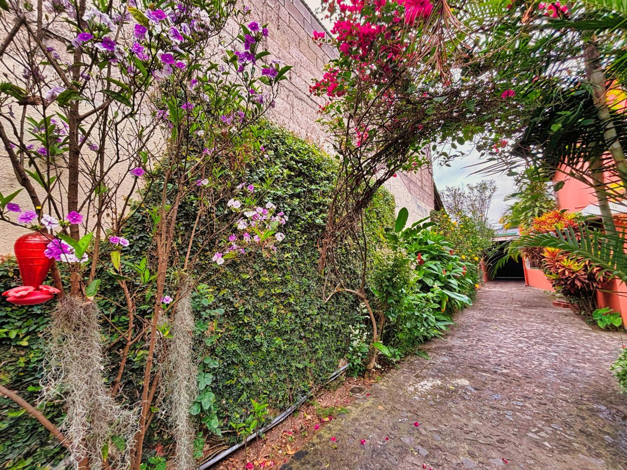 Alana Hotel By Ish Antigua Bagian luar foto